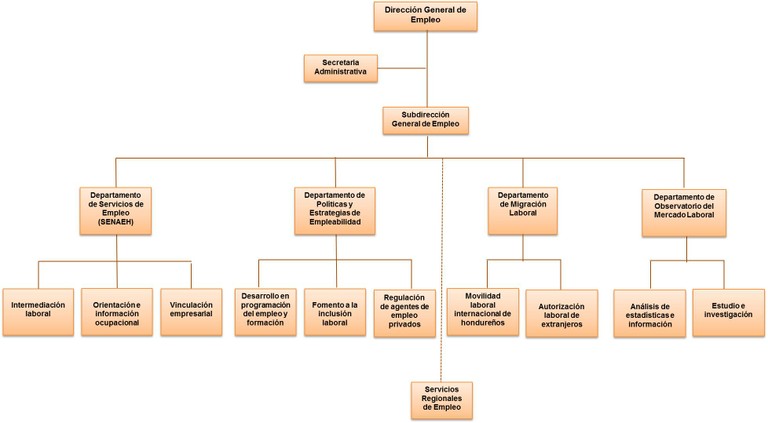 Estructura DGE