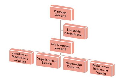 Estructura DGT
