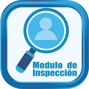 inspeccion