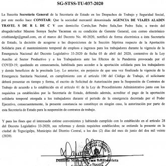 Agencia de Viajes Aladin Travel S. de R.L. de C.V.