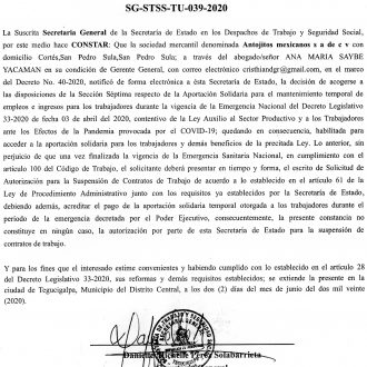 Antojitos Mexicanos S.A. de C.V.
