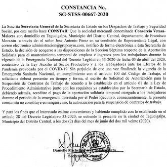 Consorcio Vetasa- Melecsa