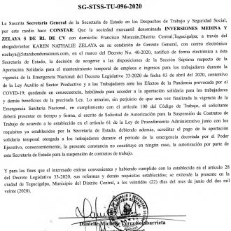 Inversiones Medina y Zelaya S. de R.L. de C.V.