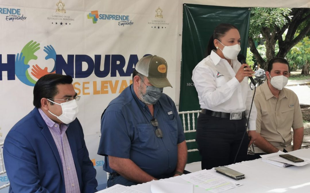 Gobierno fortalece las capacidades de producción con asistencia técnica