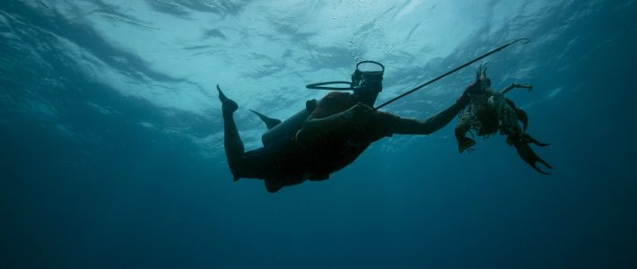 Resolución del caso de los Buzos Miskitos (Lemoth Morris y Otros) Vs. Honduras