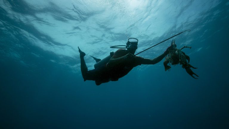 Resolución del caso de los Buzos Miskitos (Lemoth Morris y Otros) Vs. Honduras