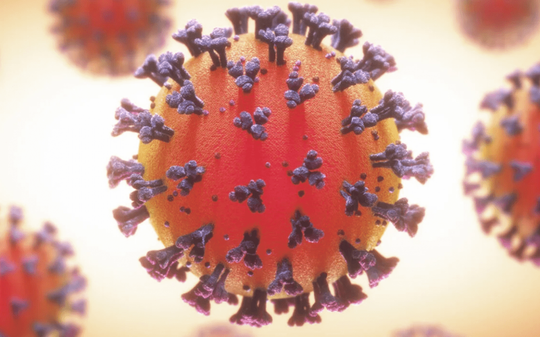 IHSS emite comunicado de advertencia COVID19