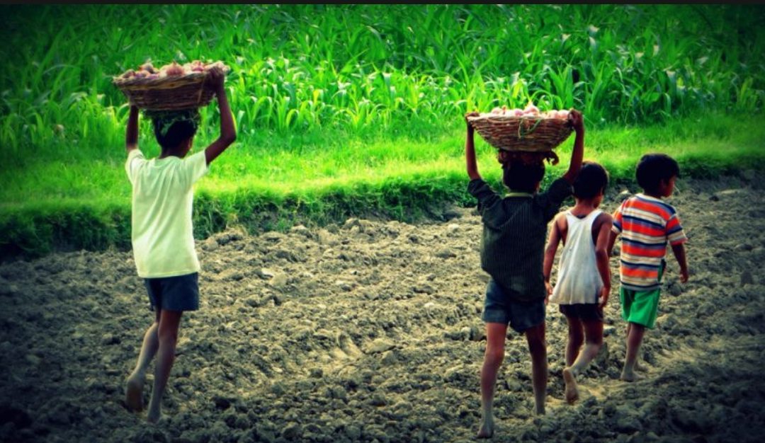 En el marco del Día Universal por los Derechos de la Infancia