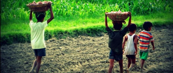 En el marco del Día Universal por los Derechos de la Infancia