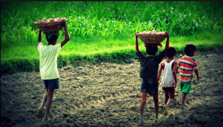 En el marco del Día Universal por los Derechos de la Infancia