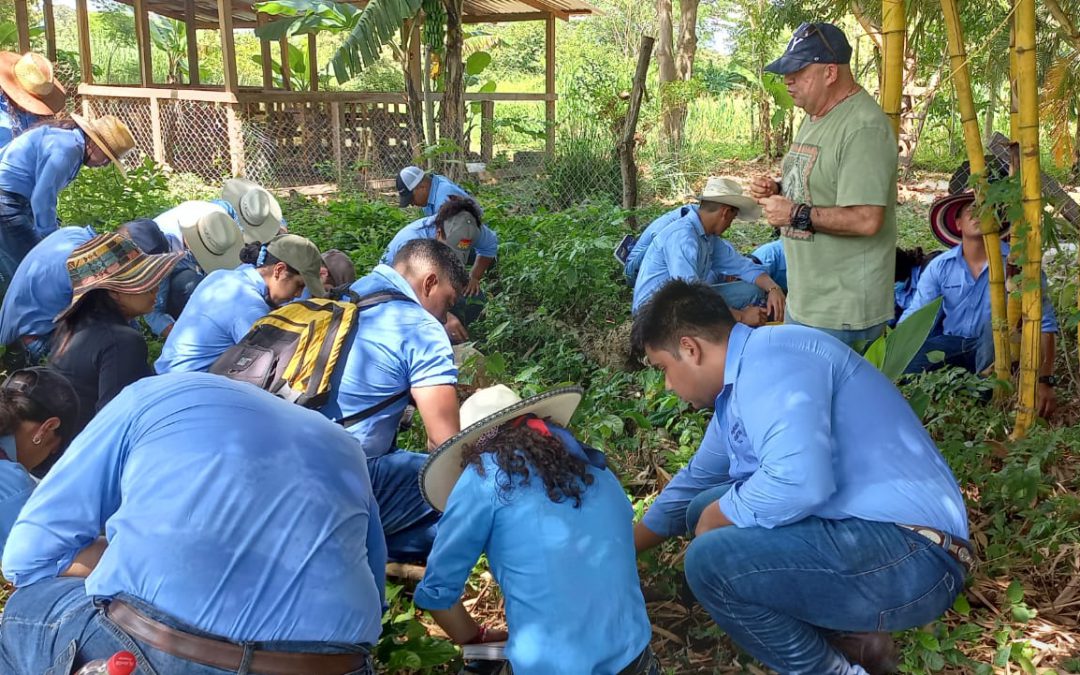 Fuerte apoyo técnico a las cadenas de valor para generar empleo