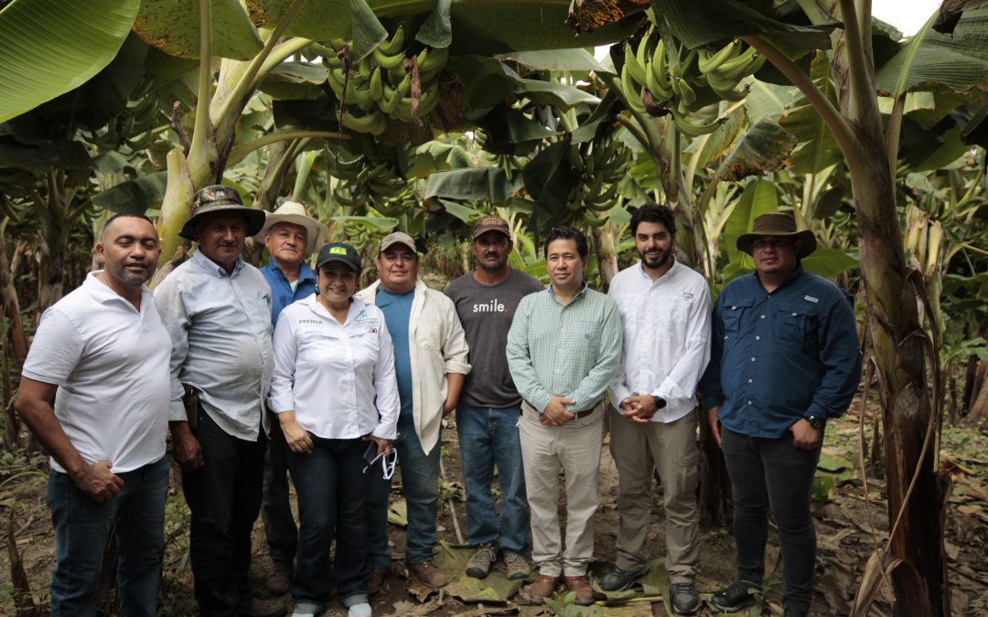 Del Campo a la Mesa: énfasis en las comunidades agrícolas