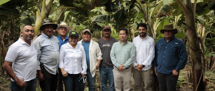Del Campo a la Mesa: énfasis en las comunidades agrícolas