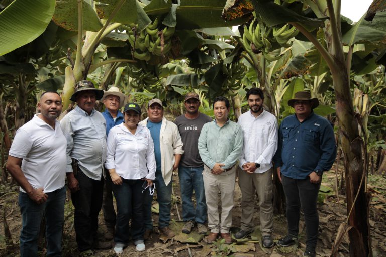 Del Campo a la Mesa: énfasis en las comunidades agrícolas