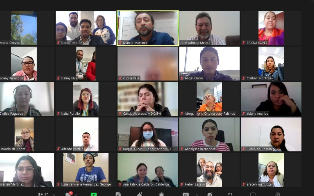 Avanza la implementación de la Estrategia Nacional para la Conservación y Aprovechamiento de la Vida Silvestre y Promoción de Empleos Verdes: Más de 100 participantes en la reunión inicial