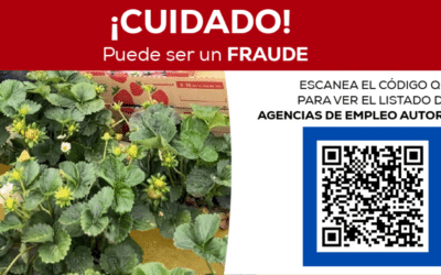 ¡Evite las estafas laborales!